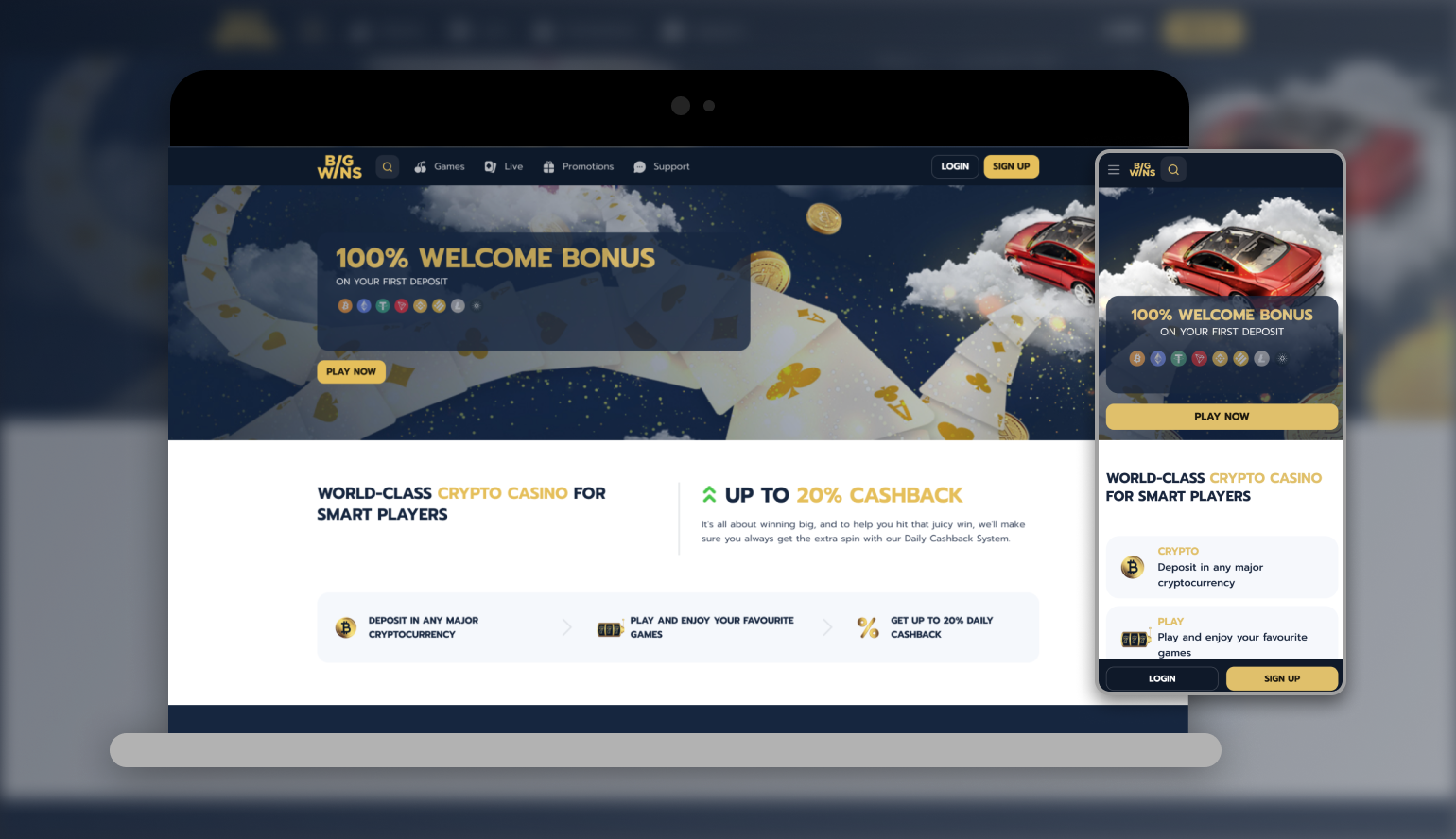 BigWin Online Casino Site Review